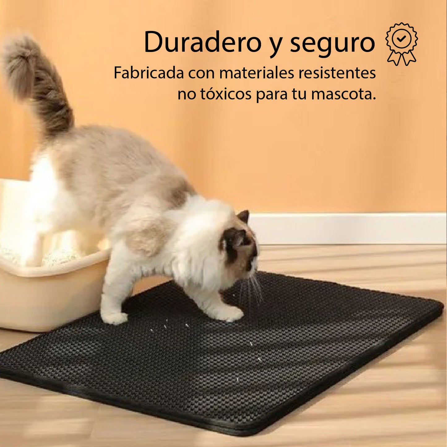 Alfombra Atrapa Piedritas