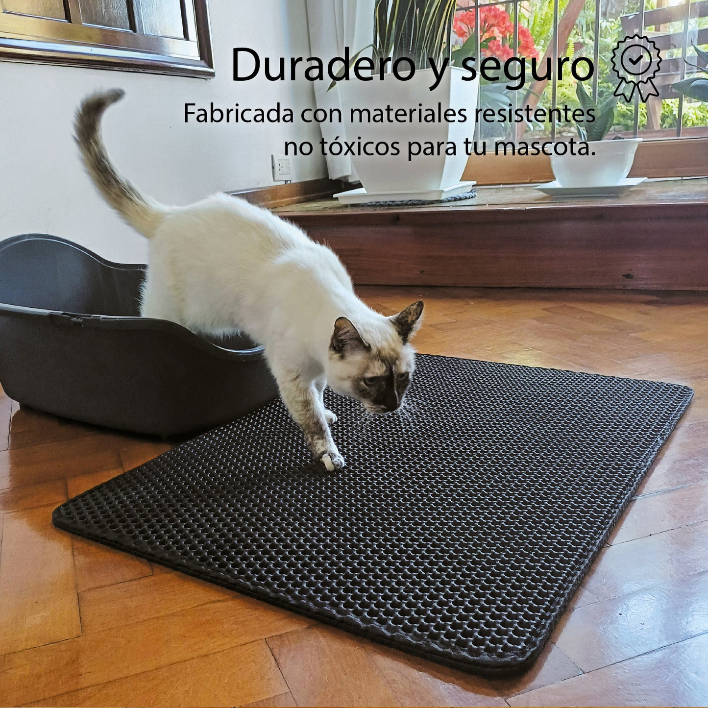 Alfombra Atrapa Piedritas