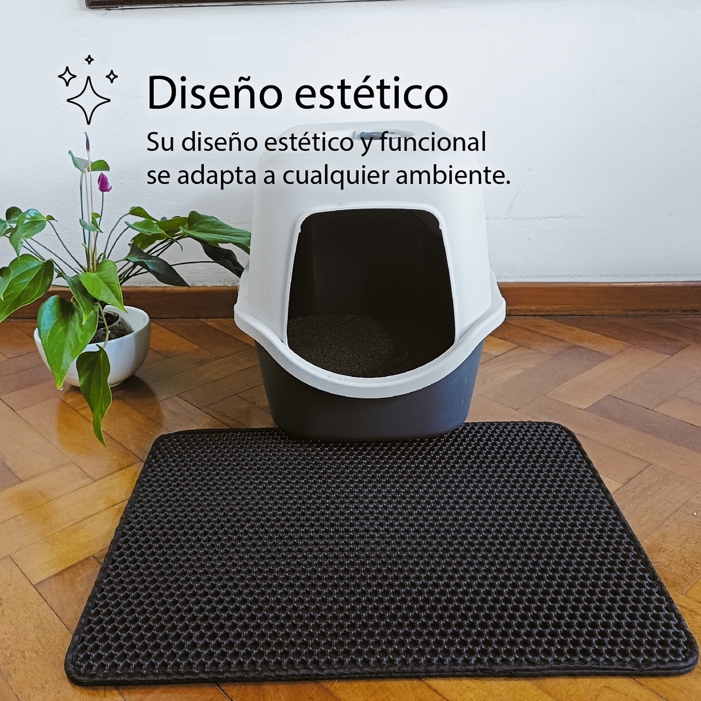 Alfombra Atrapa Piedritas