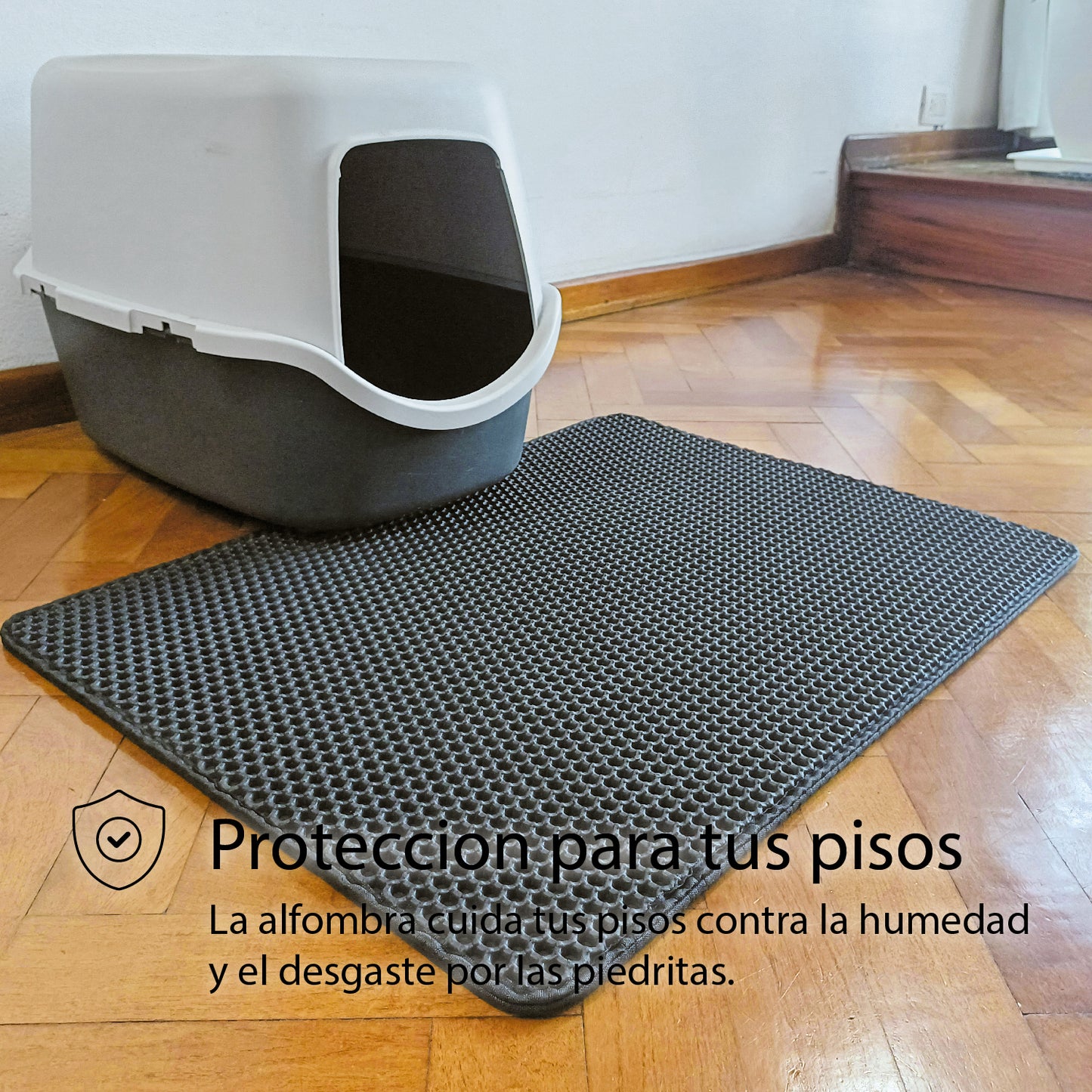 Alfombra Atrapa Piedritas